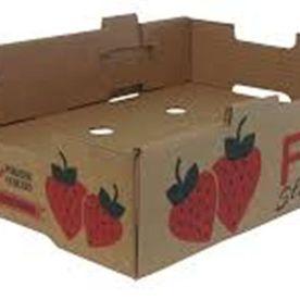 caja para fresa